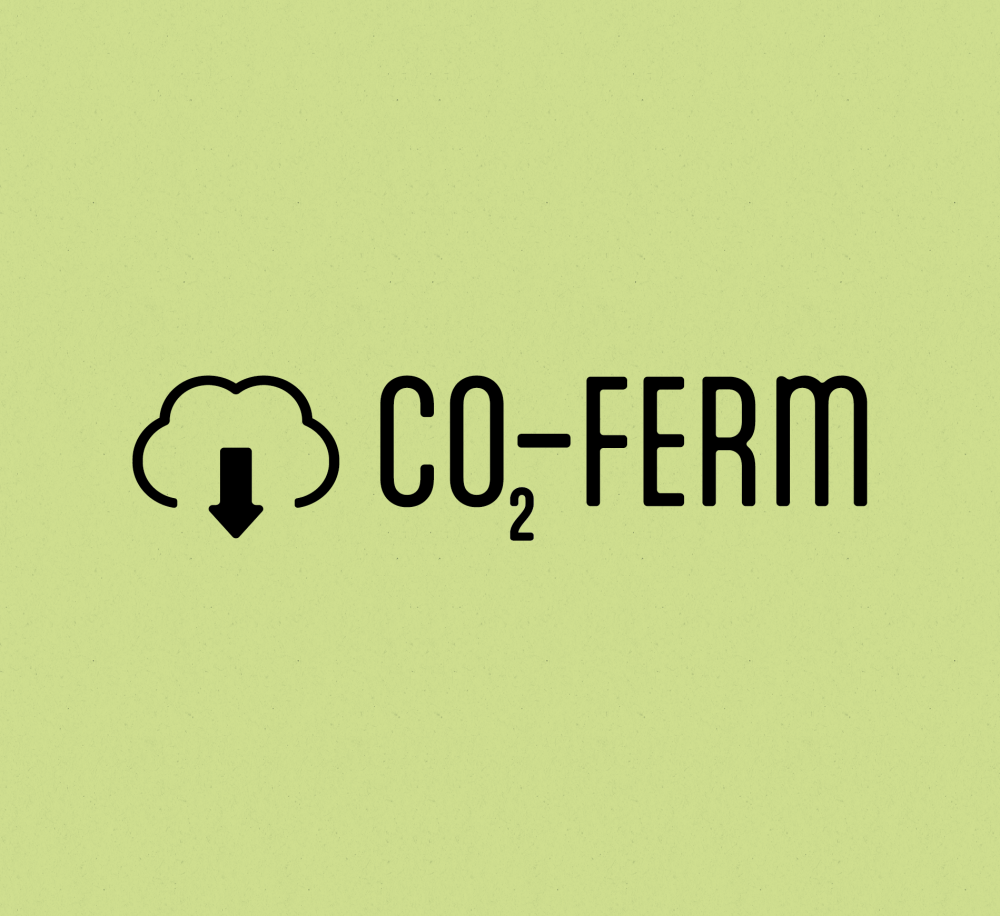 CO₂-&nbsp;FERM